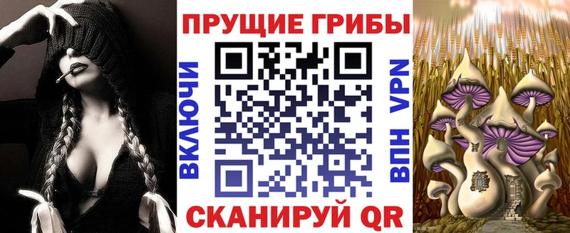 где купить наркоту  Ангарск  Галлюциногенные грибы прущие грибы 